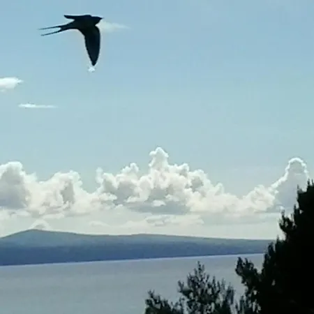 Apartmán Rokica *